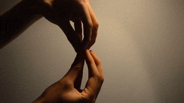 http://reho.st/www.thisiscolossal.com/wp-content/uploads/2014/04/hands.gif