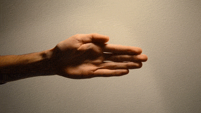 http://reho.st/www.thisiscolossal.com/wp-content/uploads/2014/04/handslq.gif