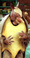 http://reho.st/www.tvacres.com/images/armadillo_holiday2_small.jpg