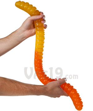 http://reho.st/www.vat19.com/webimages/covers/large/worlds-largest-gummy-worm-orange-yellow.jpg