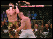 http://reho.st/www1.skoftenmedia.com/images/gifdump/18/23.gif