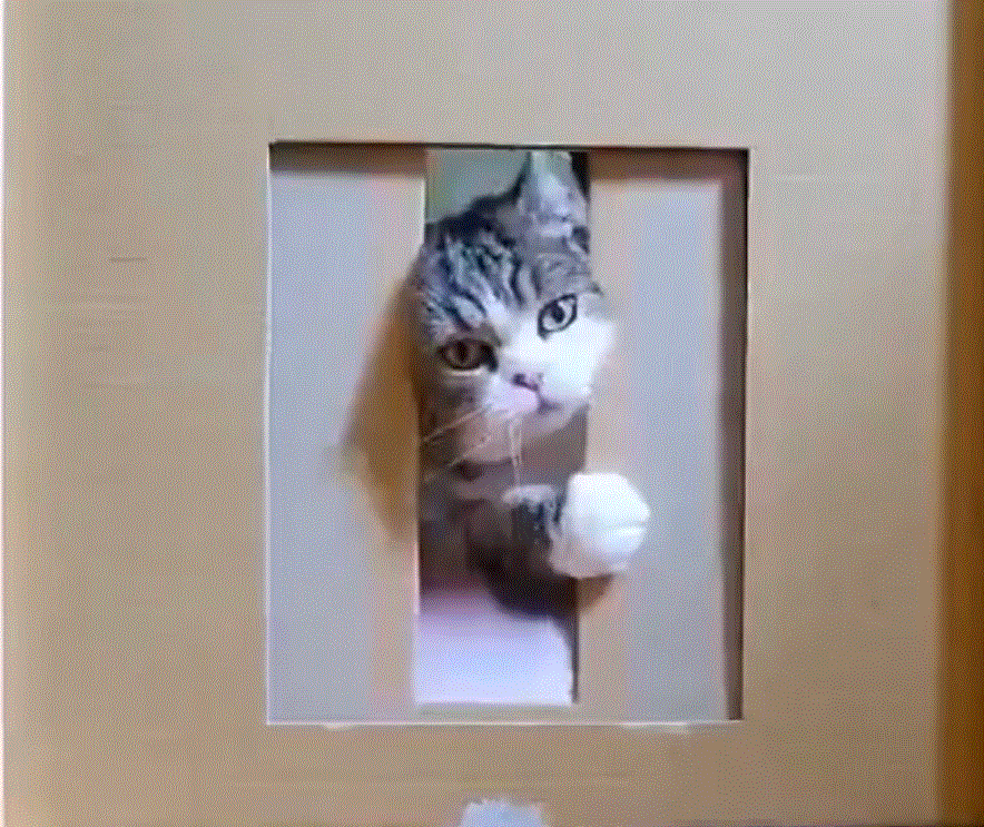https://reho.st/gif/18432f324a605cd56a1e35777d7a1f54029c5377.gif