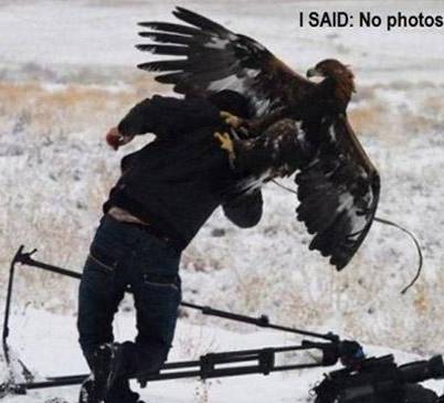 Souriez Le Petit Oiseau Va Sortir Humour Insolite