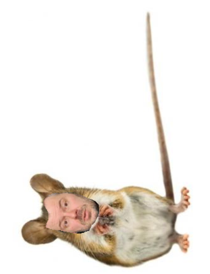 https://reho.st/self/7e5327d83d8e3d3f275f6dbf11c66a67d05dca59.png