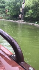 https://reho.st/thumb/https://pbs.twimg.com/ext_tw_video_thumb/1166447315130945538/pu/img/Qf-ekRt17J4slD-_.jpg